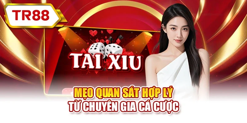 Mẹo quan sát hợp lý từ chuyên gia cá cược